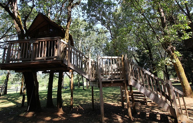 9 Exceptional Treehouse Hotels Across the U.S. for Unforgettable Stays